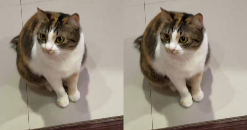 TikTok.com/lavieenlav